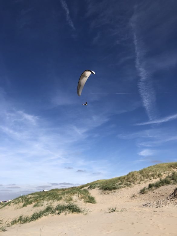 Fliegende Möwe am Strand von Noordweijk