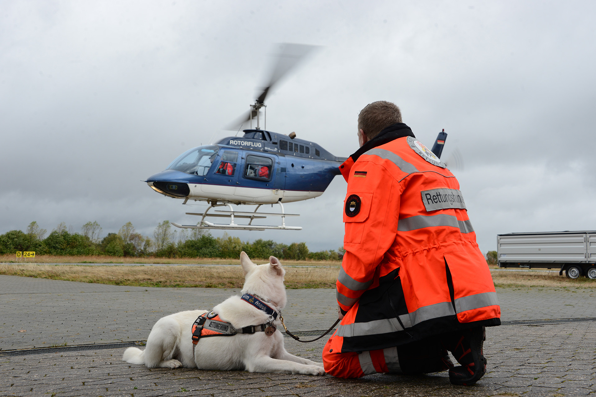 Rettungshund wartet auf Hubschrauber