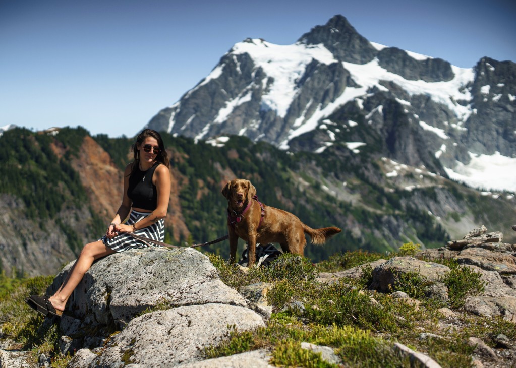 Ausflug in die Berge mit Hund