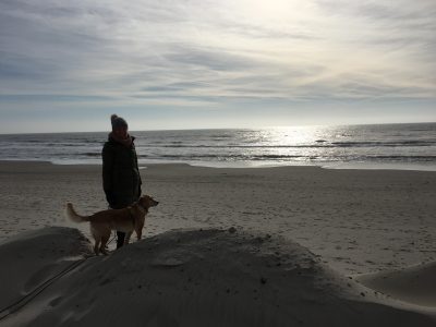 Urlaub in Dänemark mit Hund