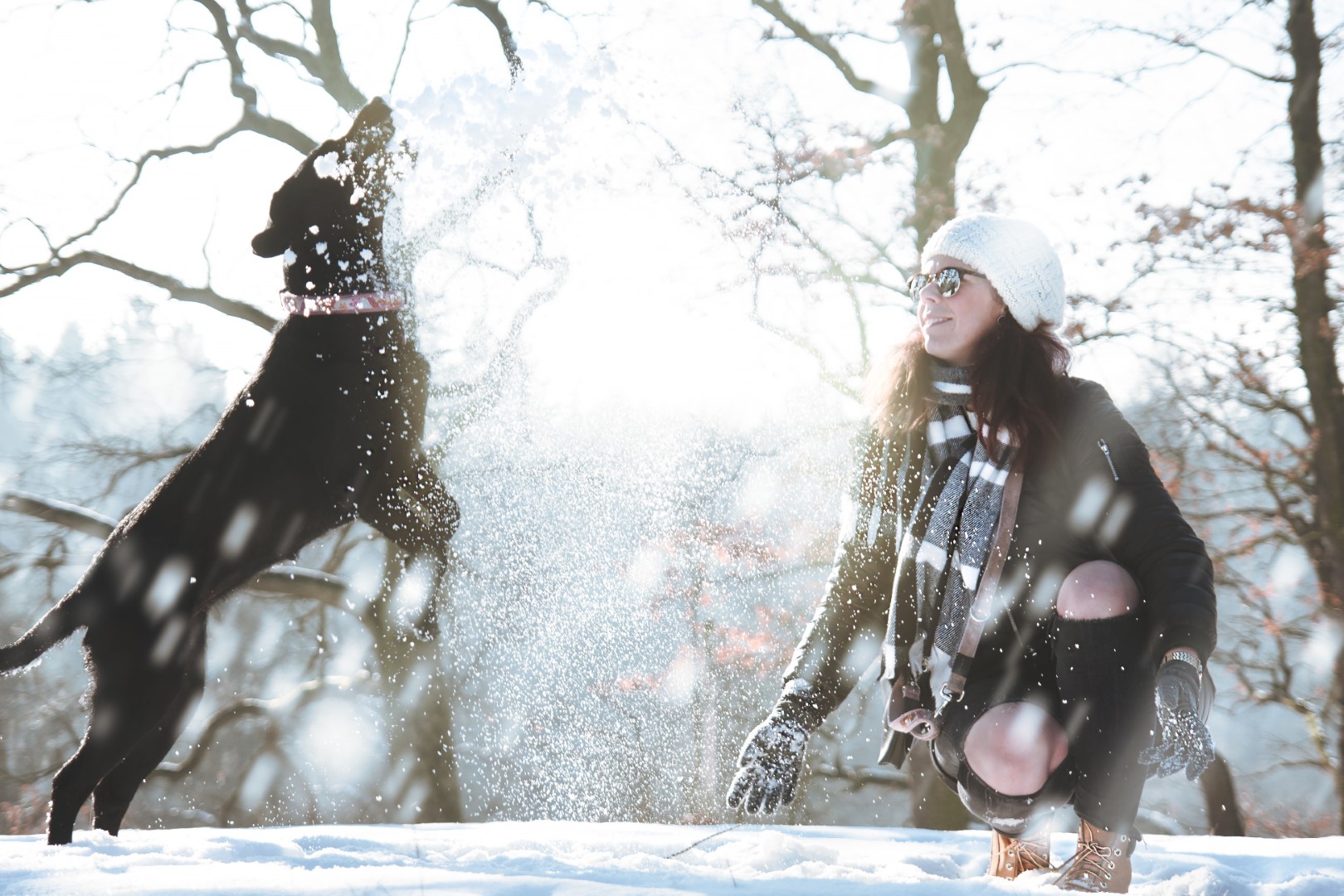Winterspaß mit Hund im Schnee im Urlaub mit Hund