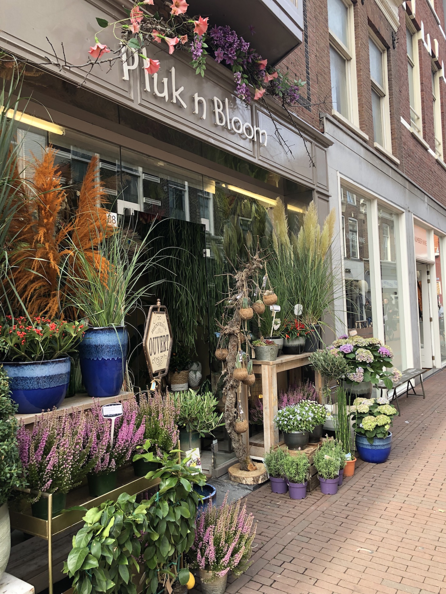 Blumengeschäft in Haarlem