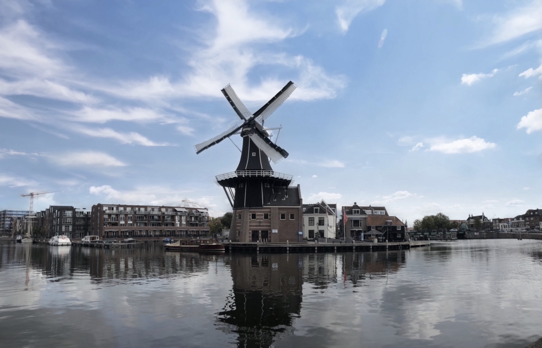 Mühle in Haarlem
