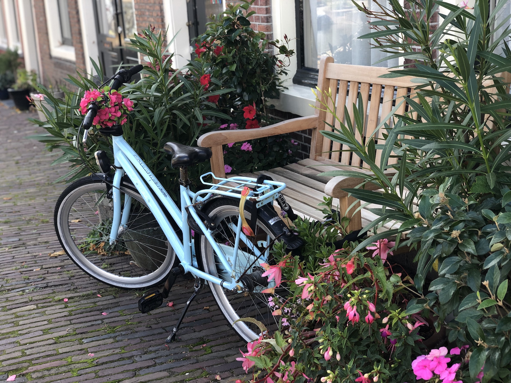 Fahrrad vor Bank und Oleandern