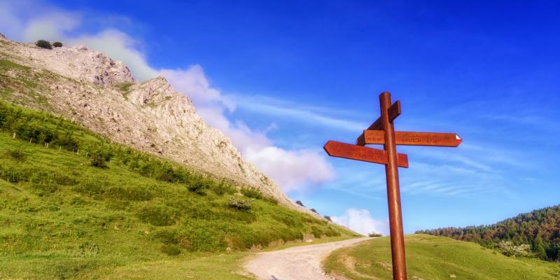 Die Route zum Wandern solltest Du nach der Leistungsfähigkeit der menschlichen und tierischen Wanderer bemessen