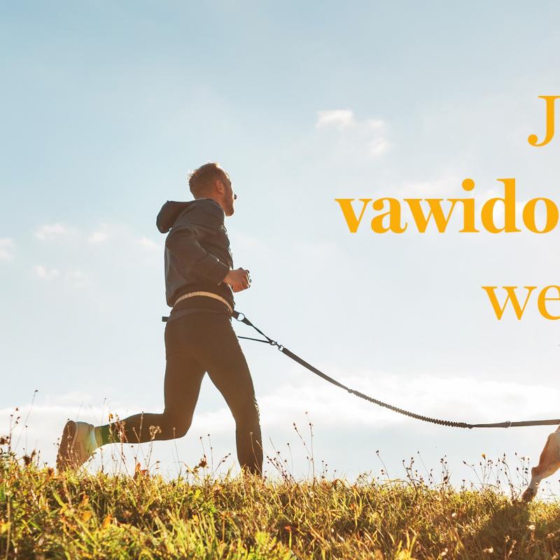 Jetzt vawidoo Partner werden