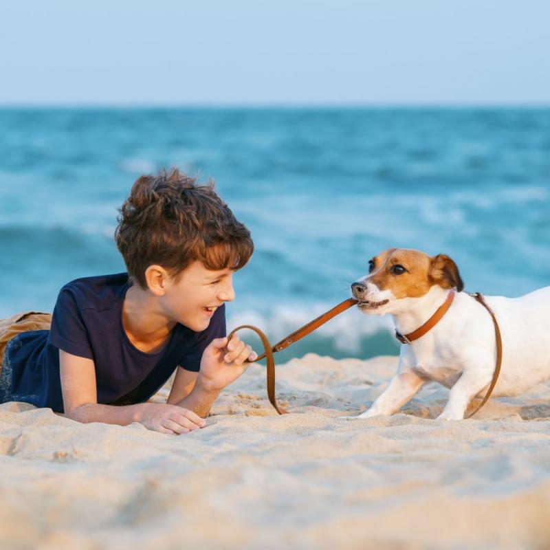 Mit dieser Packliste hast Du immer alles für einen entspannten Urlaub mit Hund dabei