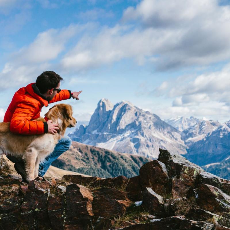 Tipps, Checklisten, Hinweise für Deinen schönsten Wanderurlaub mit Hund