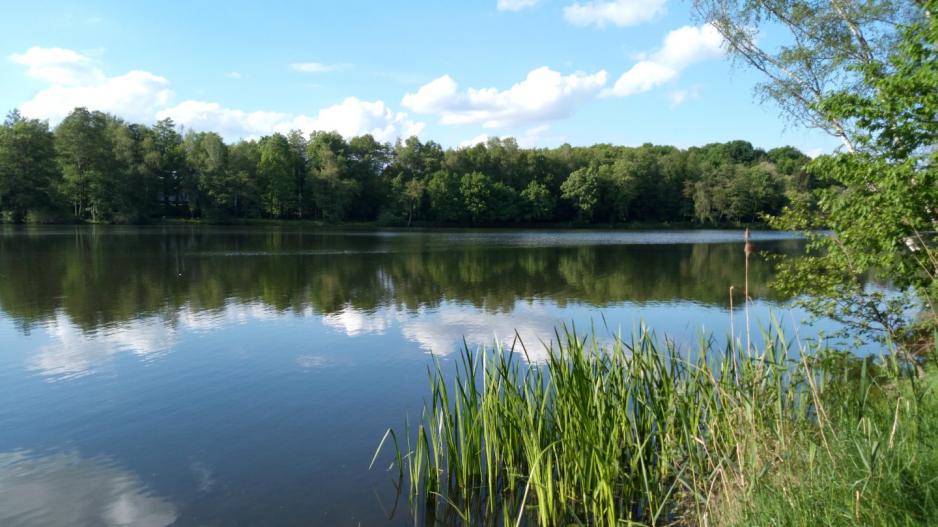 Dat lütte Hus - See im Naturpark
