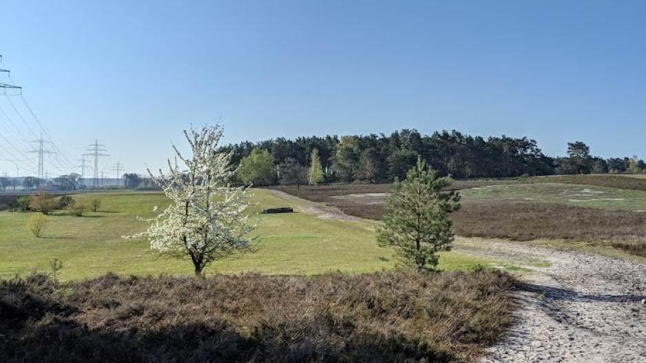 Wunderschöne Lndschaft in der Heide