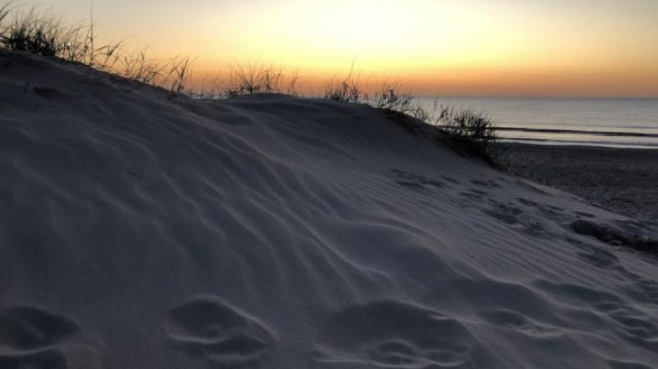 Düne von Noordwijk bei Sonnenuntergang