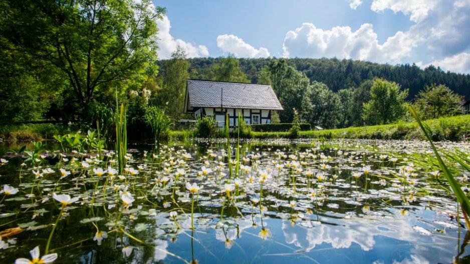Landschaft