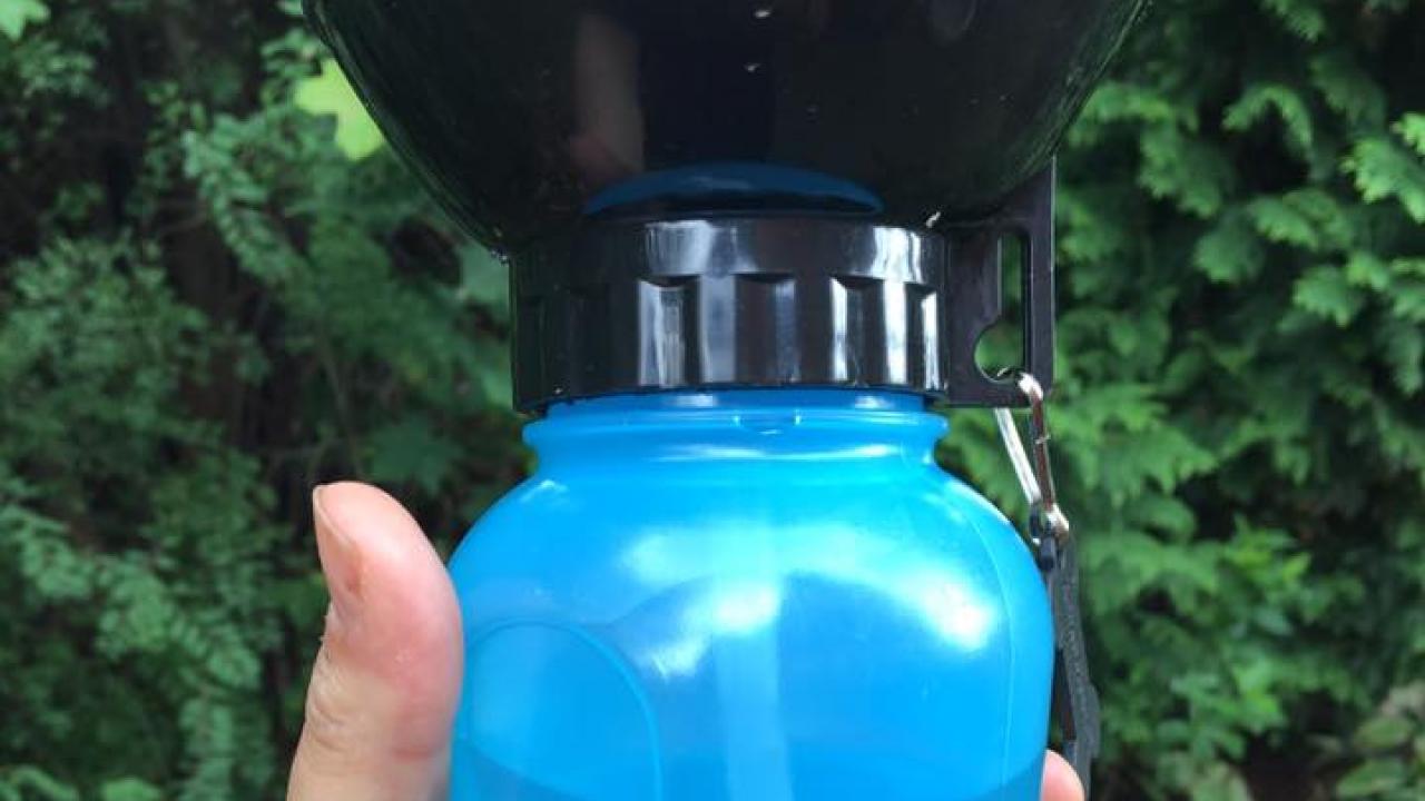 Auslaufsichere Trinkschale mit Schale in blau