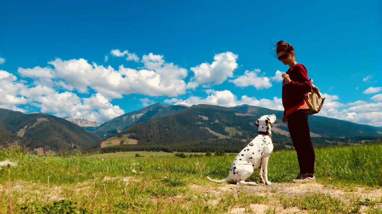 Urlaub mit nervösem Hund in den Bergen