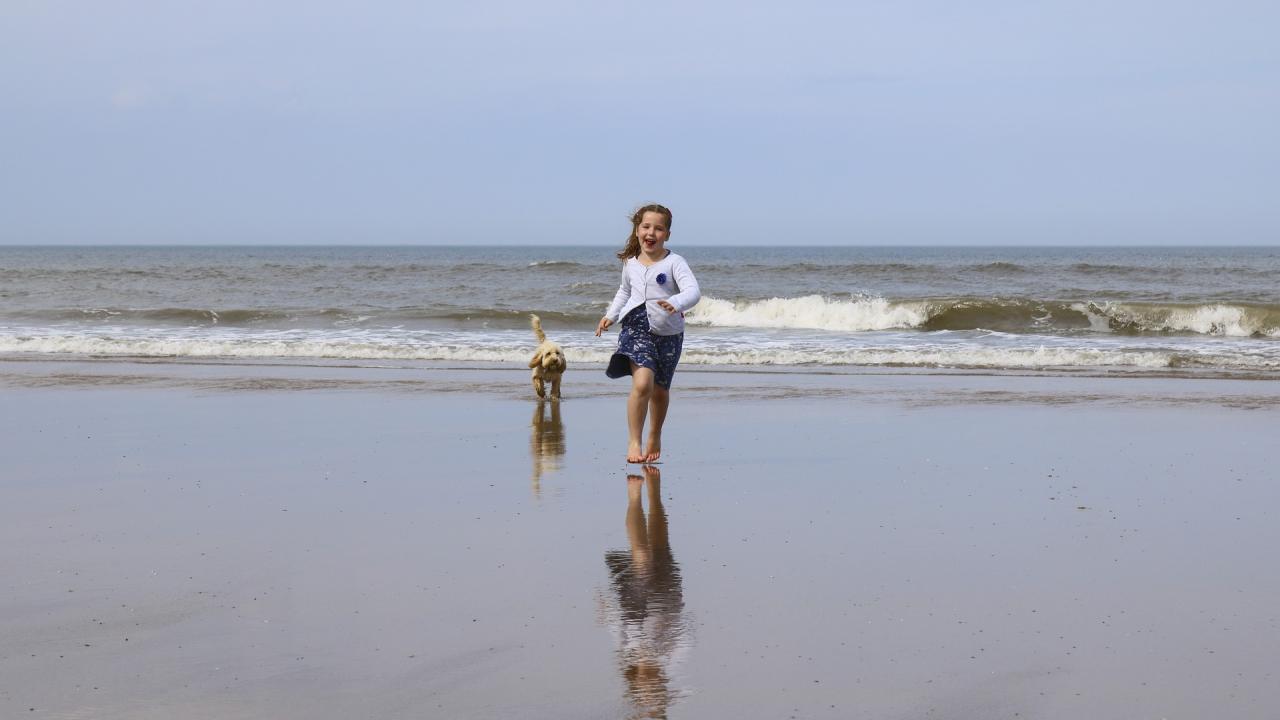 Umfrage Reisen mit Hund Ergebnisse