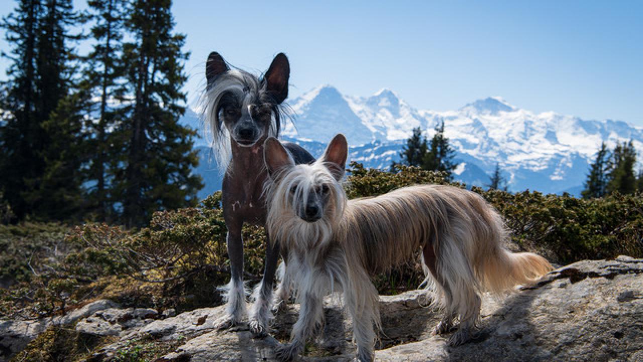 Rosalie und Felix geniessen die Aussicht
