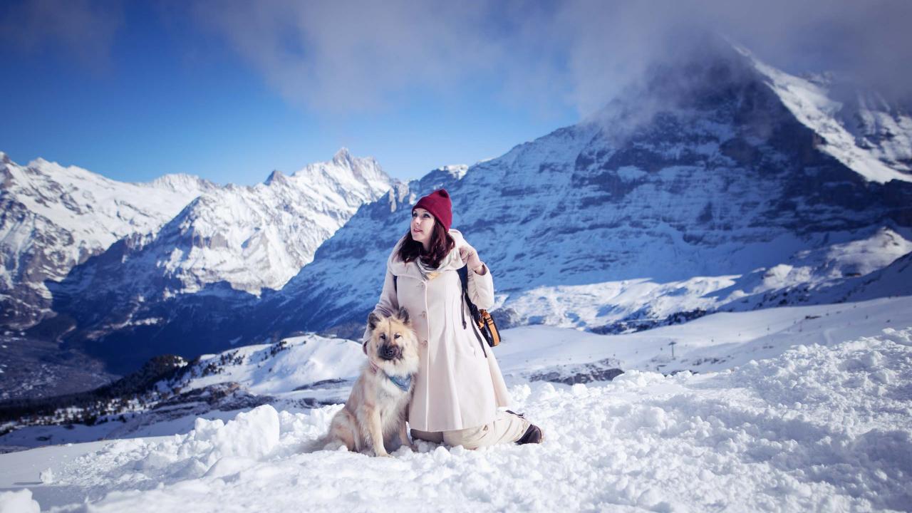 Eurasier Annie mit Nina im Schnee
